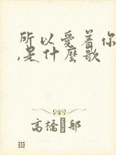 所以爱着你的爱,是什么歌