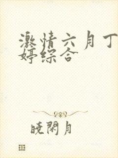 激情六月丁香婷婷综合