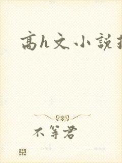 高h文小说推荐封面