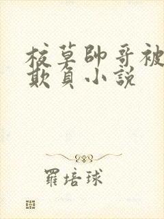 校草帅哥被丑男欺负小说