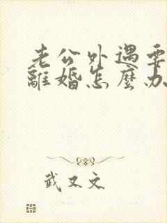 老公外遇要和我离婚怎么办封面