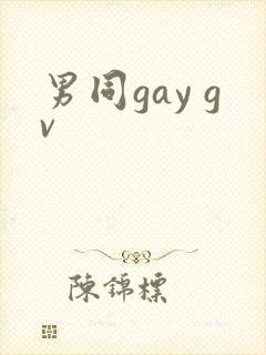 男同gay gv