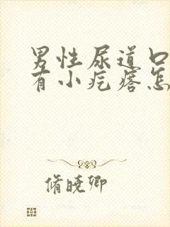 男性尿道口旁边有小疙瘩怎么回事