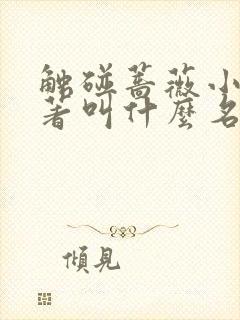 触碰蔷薇小说原著叫什么名字