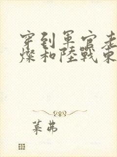 穿到军官老公苏灿和陆战东的小说