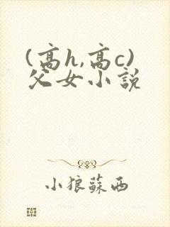 (高h,高c)父女小说