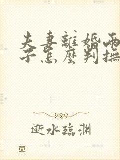 夫妻离婚两个孩子怎么判抚养权