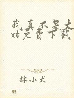 我真不是大佬txt免费下载