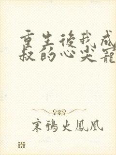 重生后我成为皇叔的心尖宠封面