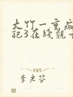 大竹一重痴汉日记3在线观看