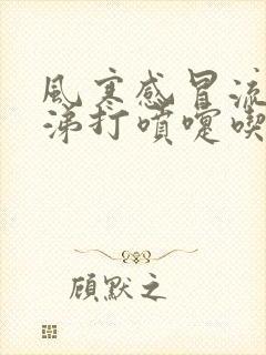 风寒感冒流清鼻涕打喷嚏吃什么药