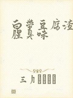 白带豆腐渣带有腥臭味