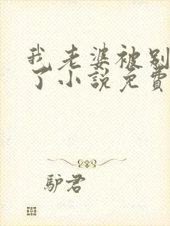 我老婆被别人操了小说免费阅读全文封面