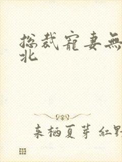 总裁宠妻无度苏北