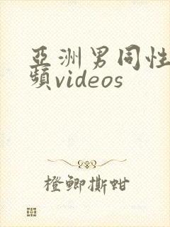 亚洲男同性恋视频videos