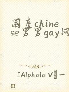 国产chinese男男gay网站