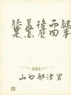 膝盖后面腿弯疼是怎么回事封面