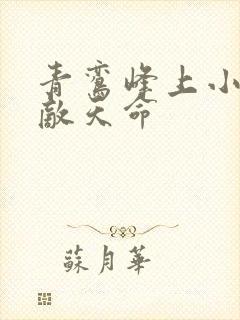 青鸾峰上小说无敌天命