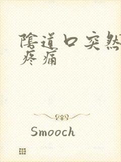 阴道口突然瘙痒疼痛