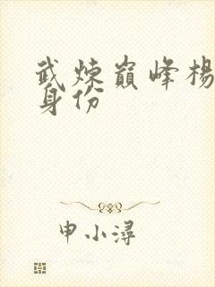 武炼巅峰杨开的身份