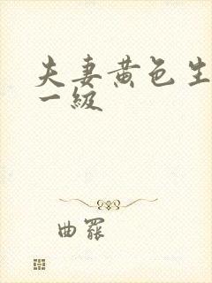 夫妻黄色生活片一级