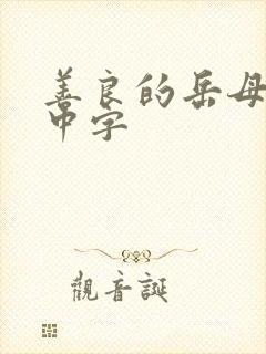 善良的岳母电影中字封面