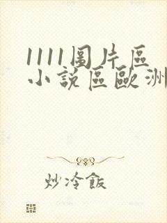 1111图片区小说区欧洲区封面