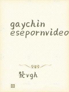 gaychinesepornvideo封面