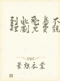 到此飞鸟不相逢短剧免费观看封面