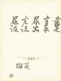 尿完尿有黄色粘液流出来是怎么回事?封面