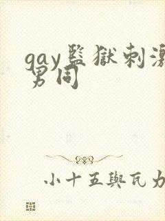 gay监狱刺激男同