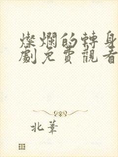 灿烂的转身电视剧免费观看在线