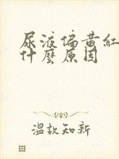 尿液偏黄红色是什么原因