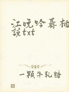 江晚吟聂柏陵小说txt封面