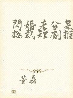 闪婚老公是亿万总裁短剧推荐