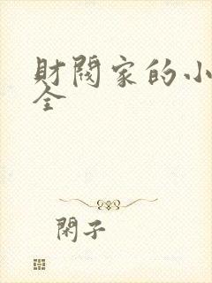 财阀家的小儿子全封面
