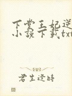 下堂王妃逆袭记小说下载txt