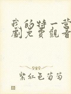 我的特一营电视剧免费观看