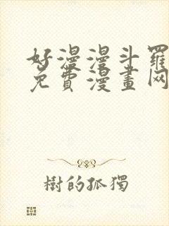 好漫漫斗罗玉转免费漫画网站