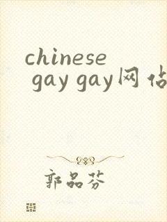 chinese gay gay网站视频