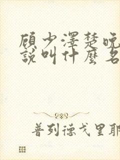 顾少泽楚晚宁小说叫什么名字