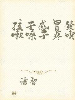 孩子感冒发烧咳嗽嗓子疼吃什么药管用