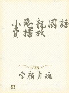 小飞龙国语版免费播放