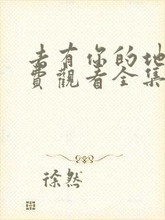 去有你的地方免费观看全集完整版封面