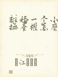 离婚一个小孩子抚养权怎么判定封面