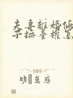 夫妻离婚俩个孩子抚养权怎么判定