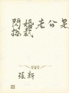 闪婚老公是豪门总裁