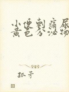 小便刺痛尿道口黄色分泌物封面