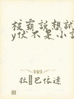 校霸说想试试by伏不是小说免费阅读