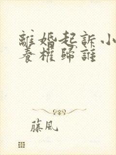 离婚起诉小孩抚养权归谁